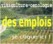 consulter les offres d'emploi, cliquez dessus !